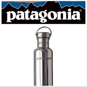 Rare Patagonia Klean Kanteen Reflect Stainless